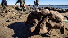 Esqueleto de mamute bem preservado é encontrado no Ártico russo
