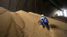 Conab: Brasil produzirá 265,9 milhões de toneladas de grãos