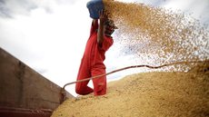 Capacidade de armazenagem agrícola chega a 177,7 milhões de toneladas