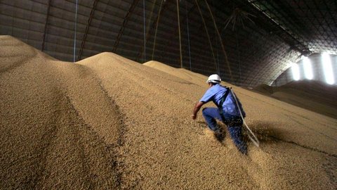Previsão de crescimento agropecuário cai de 3,8% para 2,4% em 2020