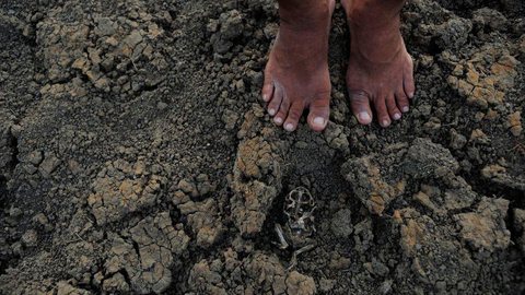 Governos estudam ações para mitigar efeitos da seca no Piauí