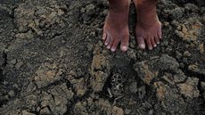 Governos estudam ações para mitigar efeitos da seca no Piauí