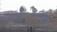 Polícia identifica responsáveis por incêndio que destruiu fazenda de pesquisas científicas em Andradina