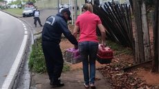 Protetores resgatam mais de 50 gatos vítimas de maus-tratos em Sorocaba