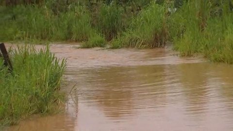 Moradores ficam ilhados após ponte ficar coberta por água em Rio Preto