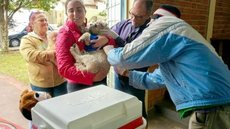 Prefeitura de Assis divulga cronograma de vacinação antirrábica