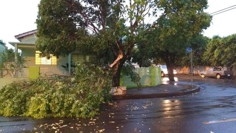 Chuva forte deixa moradores sem energia em Andradina