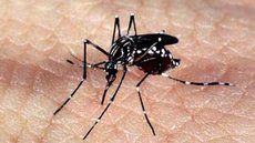 Casos de dengue caem 80% no DF em 2021
