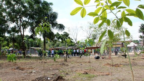 Mirassol comemora o Dia do Meio Ambiente com plantio de árvores