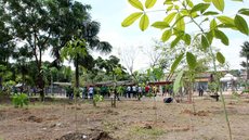 Mirassol comemora o Dia do Meio Ambiente com plantio de árvores