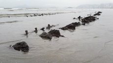 Destroços de navio ‘misterioso’ são encontrados em praia
