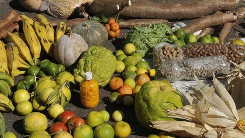 Mutirão distribui cestas agroecológicas para comunidades vulneráveis