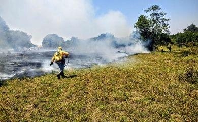 Mesmo com seca e calor recorde, incêndios florestais no DF caem 50%