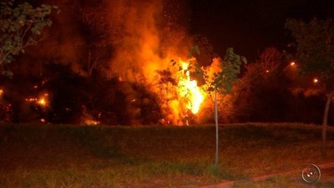 Incêndio atinge área de vegetação seca e assusta moradores em bairro de Catanduva