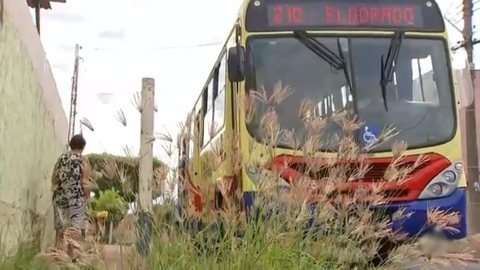 Falta de estrutura em pontos de ônibus gera reclamações entre moradores de Rio Preto