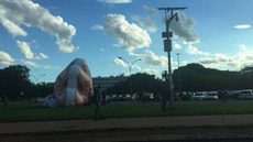 Deputada eleita empresta bonecos infláveis para manifestações
