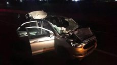 Três pessoas ficam feridas após carro atingir animal solto na rodovia