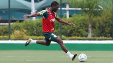 Palmeiras