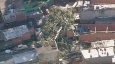 Temporal derruba 88 árvores após atingir cidade de São Paulo