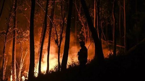 Imagem Portugal luta contra três incêndios florestais