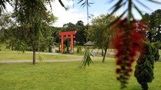 Jardim Japonês do Parque da Cidade de Jundiaí é fechado por infestação de carrapatos