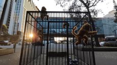 Artista plástico instala gaiolas em parques de SP para alertar contra a crueldade com animais