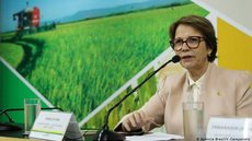País pode ser principal player para investimentos verdes, diz ministra