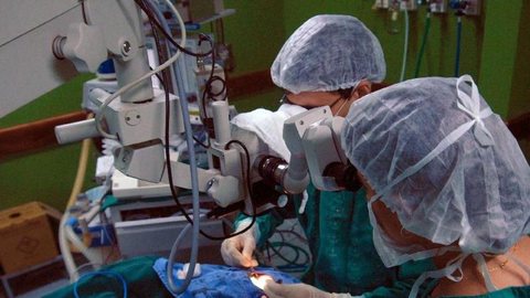 Saúde abre consulta pública sobre protocolo de transplante de rim