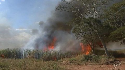 Incêndio destrói plantação de cana e área de preservação ambiental em Iacri