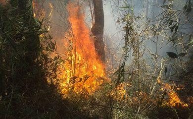 Prossegue combate a incêndio florestal na Serra dos Órgãos