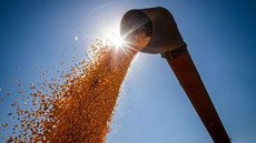 Conab: safra de grãos pode chegar a 291,1 milhões de toneladas