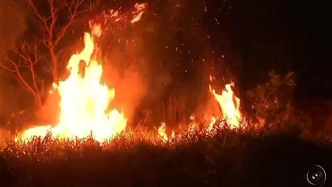 Bombeiros levam quase nove horas para apagar incêndio em pasto de Pereira Barreto