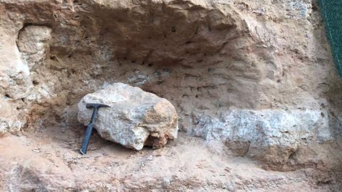 Fóssil de dinossauro é encontrado no interior de SP