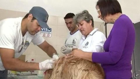 Fernandópolis confirma 1º caso de leishmaniose em humanos neste ano