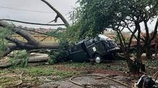 Pirassununga ainda enfrenta impactos de temporal