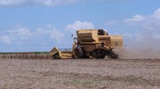 CNA prevê aumento da produção do agronegócio no próximo ano