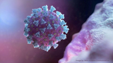 Estudo da UNB investiga cepas do novo coronavírus encontradas no DF