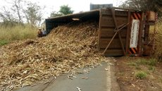 Caminhão canavieiro tomba em vicinal entre Jales e Dirce Reis