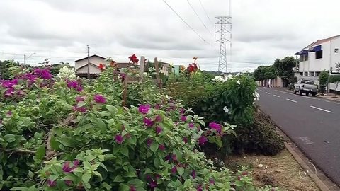 Moradores transformam terrenos ocupados por entulho e mato alto em jardins