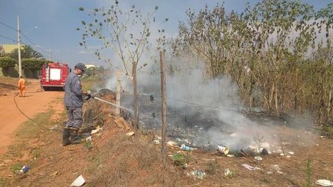 Fogo em mata às margens de avenida mobiliza bombeiros em Bauru