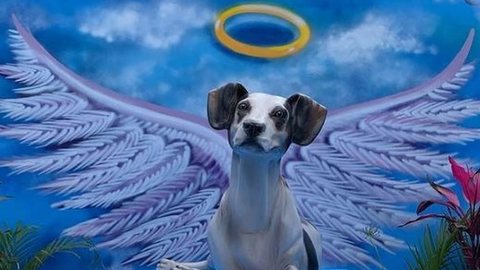 Cachorro Manchinha, morto por segurança do Carrefour em 2018, ganha monumento em Osasco, na Grande SP