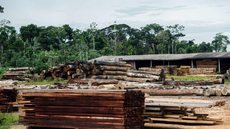 Classificação de madeira pode beneficiar consumidor, diz ministério