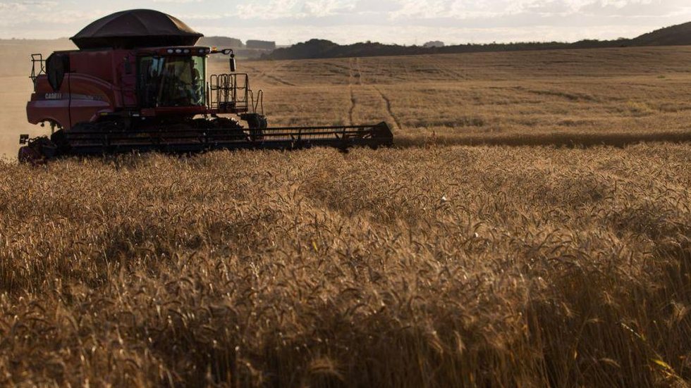 Câmara aprova criação de fundo de investimento do setor agropecuário