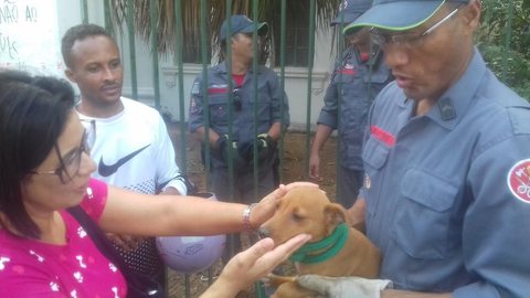 Cachorra presa em prédio desativado mobiliza Corpo de Bombeiros em Bauru