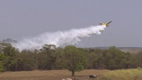 Bombeiros usam avião para tentar apagar incêndio em Suzanápolis