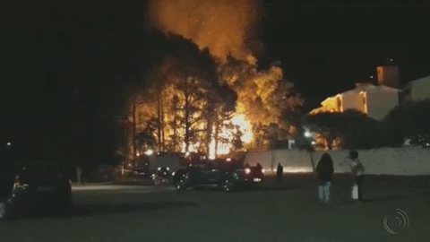 Incêndio atinge bambuzal e chamas altas assustam moradores de Marília