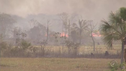 Bombeiros levam quase dois dias para controlar incêndio em reserva ambiental