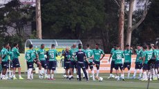 Palmeiras x Ceará: informações, curiosidades e histórico do confronto