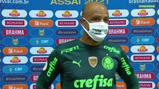palmeiras
