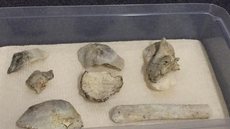 Crânio de Luzia é encontrado nos escombros do Museu Nacional, dizem pesquisadores